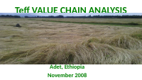 teff value chain.pdf